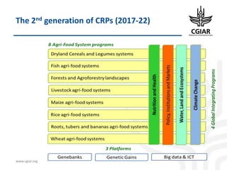 Biotech and innovative breeding for the new Agri-Food System CGIAR Research Programs (CRPs)
