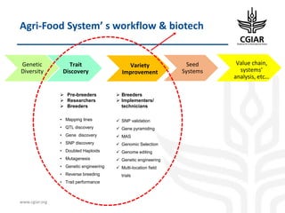 Biotech and innovative breeding for the new Agri-Food System CGIAR Research Programs (CRPs)