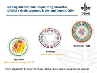 Biotech and innovative breeding for the new Agri-Food System CGIAR Research Programs (CRPs)