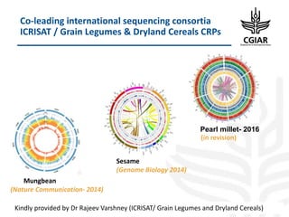 Biotech and innovative breeding for the new Agri-Food System CGIAR Research Programs (CRPs)