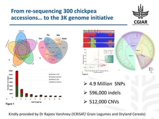 Biotech and innovative breeding for the new Agri-Food System CGIAR Research Programs (CRPs)