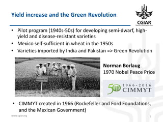 Biotech and innovative breeding for the new Agri-Food System CGIAR Research Programs (CRPs)