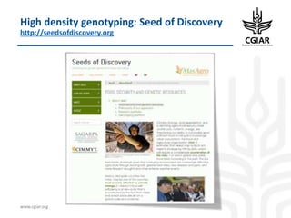 Biotech and innovative breeding for the new Agri-Food System CGIAR Research Programs (CRPs)