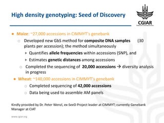 Biotech and innovative breeding for the new Agri-Food System CGIAR Research Programs (CRPs)