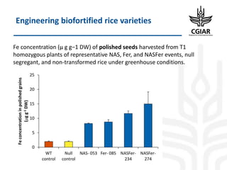 Biotech and innovative breeding for the new Agri-Food System CGIAR Research Programs (CRPs)