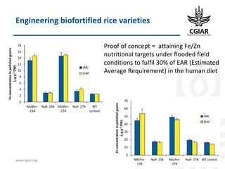 Biotech and innovative breeding for the new Agri-Food System CGIAR Research Programs (CRPs)