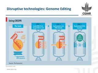 Biotech and innovative breeding for the new Agri-Food System CGIAR Research Programs (CRPs)