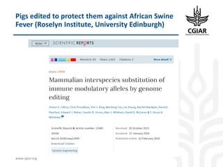 Biotech and innovative breeding for the new Agri-Food System CGIAR Research Programs (CRPs)