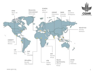Biotech and innovative breeding for the new Agri-Food System CGIAR Research Programs (CRPs)