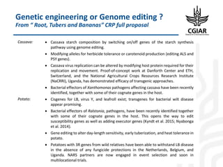 Biotech and innovative breeding for the new Agri-Food System CGIAR Research Programs (CRPs)