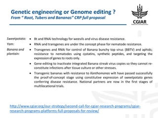 Biotech and innovative breeding for the new Agri-Food System CGIAR Research Programs (CRPs)