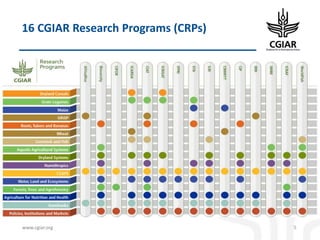 Biotech and innovative breeding for the new Agri-Food System CGIAR Research Programs (CRPs)