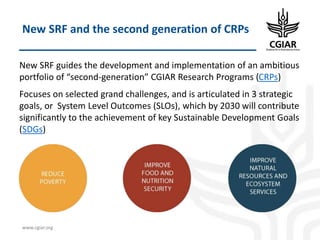Biotech and innovative breeding for the new Agri-Food System CGIAR Research Programs (CRPs)