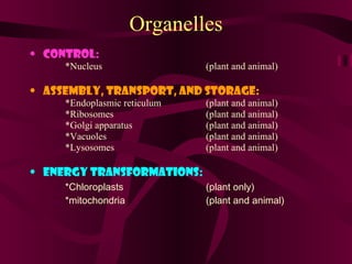 Organelles Control: *Nucleus  (plant and animal) Assembly, Transport, and Storage: *Endoplasmic reticulum  (plant and animal) *Ribosomes (plant and animal) *Golgi apparatus  (plant and animal) *Vacuoles  (plant and animal) *Lysosomes (plant and animal) Energy transformations: *Chloroplasts (plant only) *mitochondria  (plant and animal) 
