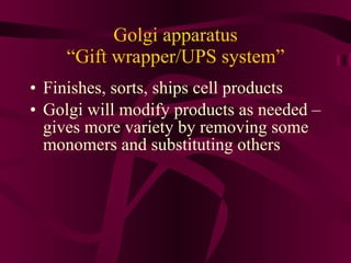 Golgi apparatus “Gift wrapper/UPS system” Finishes, sorts, ships cell products Golgi will modify products as needed – gives more variety by removing some monomers and substituting others 