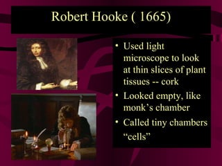 Robert Hooke ( 1665) Used light microscope to look at thin slices of plant tissues -- cork  Looked empty, like monk’s chamber Called tiny chambers “cells”   