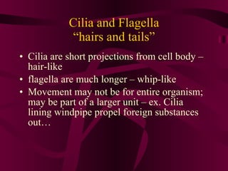Cilia and Flagella “hairs and tails” Cilia are short projections from cell body – hair-like flagella are much longer – whip-like Movement may not be for entire organism; may be part of a larger unit – ex. Cilia lining windpipe propel foreign substances out… 