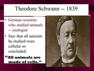 Theodore Schwann -- 1839 German scientist who studied animals -- zoologist  Saw that all animals he studied were cellular so concluded: “ All animals are made of cells.”   