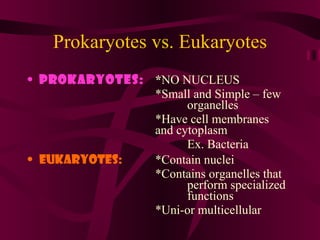 Prokaryotes vs. Eukaryotes Prokaryotes: * NO NUCLEUS  *Small and Simple – few  organelles  *Have cell membranes  and cytoplasm  Ex. Bacteria  Eukaryotes: *Contain nuclei  *Contains organelles that  perform specialized  functions  *Uni-or multicellular  