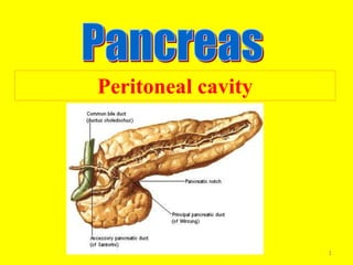 Peritoneal cavity
1
 
