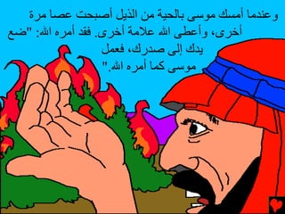 ‫وﻋﻨﺪﻣﺎ أﻣﺴﻚ ﻣﻮﺱﻰ ﺏﺎﻟﺤﻴﺔ ﻣﻦ اﻟﺬﻳﻞ أﺹﺒﺤﺖ ﻋﺼﺎ ﻣﺮة‬
‫أﺥﺮى، وأﻋﻄﻰ اﷲ ﻋﻼﻣﺔ أﺥﺮى. ﻓﻘﺪ أﻣﺮﻩ اﷲ: "ﺽﻊ‬
                  ‫ﻳﺪك إﻟﻰ ﺹﺪرك، ﻓﻌﻤﻞ‬
                  ‫ﻣﻮﺱﻰ آﻤﺎ أﻣﺮﻩ اﷲ."‬
 