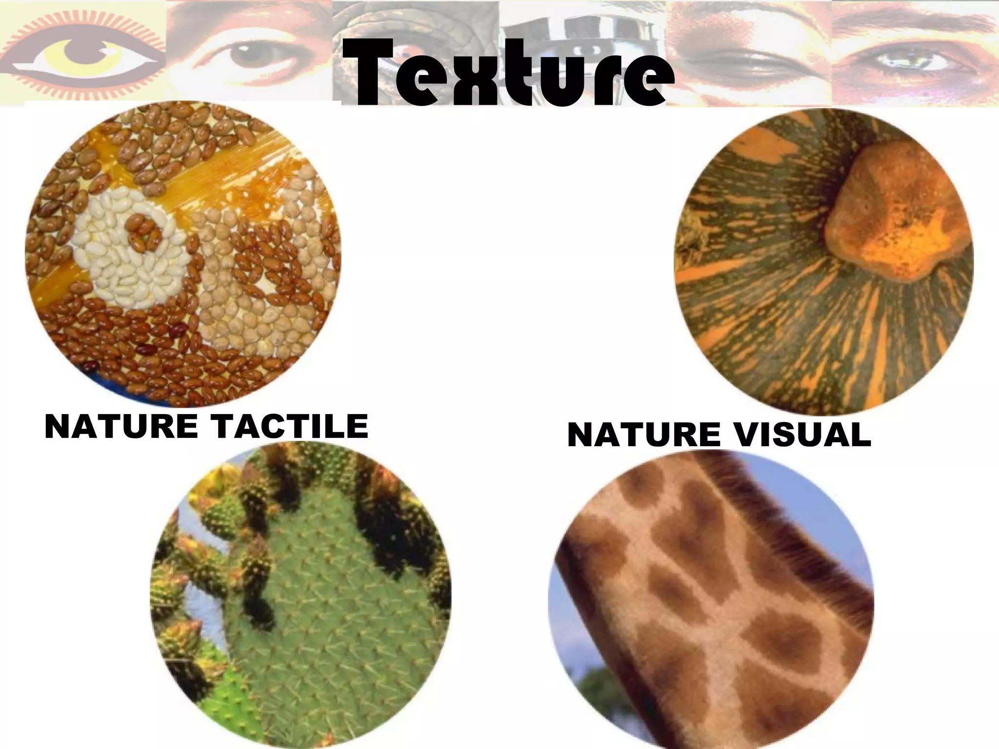 Texture


NATURE TACTILE   NATURE VISUAL
 