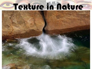 Texture in Nature
 