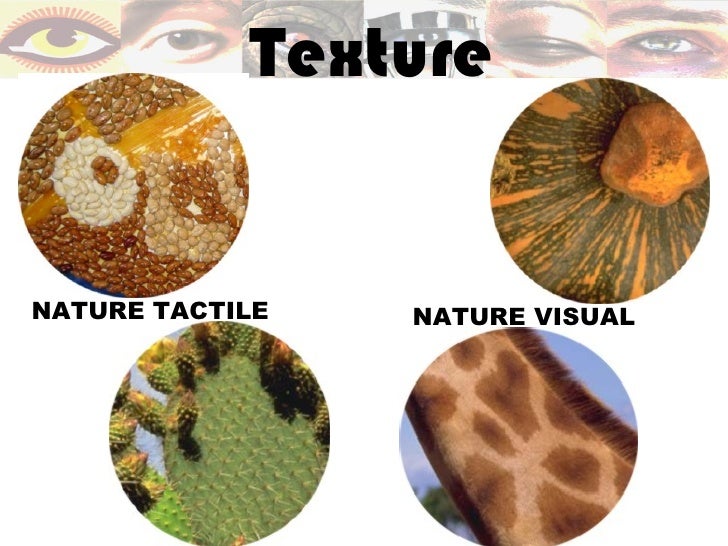 The Visual Elements of Art: TEXTURE