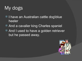 My dogs  I have an Australian cattle dog\blue heeler  And a cavalier king Charles spaniel  And I used to have a golden retriever but he passed away. 