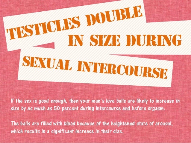 10 things about testicles ladies need to know increase balls size