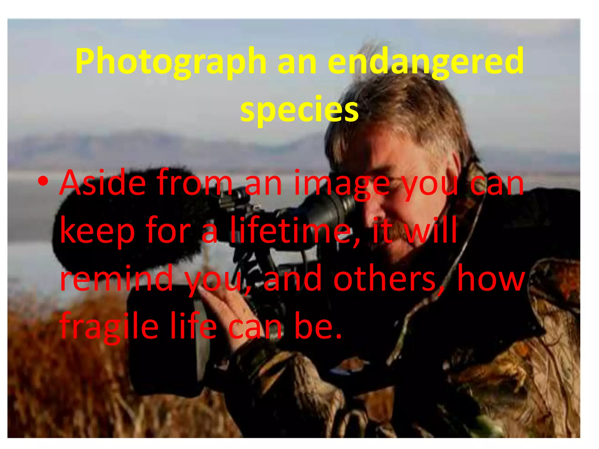 Photograph an endangered
           species
• Aside from an image you can
  keep for a lifetime, it will
  remind you, and others, how
  fragile life can be.
 