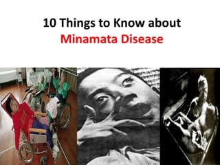 10 Things to Know about
Minamata Disease
 