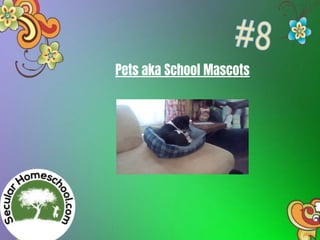 Pets aka School Mascots
 