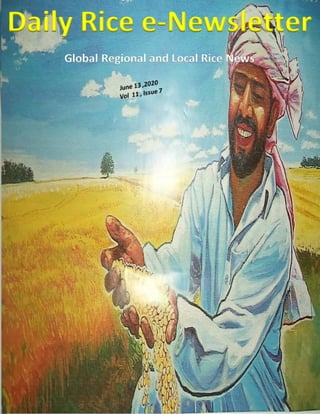 www.riceplusmagazine.blogspot.com
Asia
Daily Rice e-Newsletter
Global Regional and Local Rice News
 