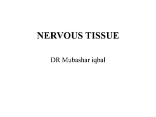NERVOUS TISSUE
DR Mubashar iqbal
 