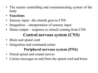 • The master controlling and communicating system of the
body
• Functions
• Sensory input –the stimuli goes to CNS
• Integration – interpretation of sensory input
• Motor output – response to stimuli coming from CNS
Central nervous system (CNS)
• Brain and spinal cord
• Integration and command center
Peripheral nervous system (PNS)
• Paired spinal and cranial nerves
• Carries messages to and from the spinal cord and brain
 