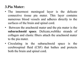 3.Pia Mater:
• The innermost meningeal layer is the delicate
connective tissue pia mater. This layer contains
numerous blood vessels and adheres directly to the
surfaces of the brain and spinal cord.
• Between the arachnoid mater and the pia mater is the
subarachnoid space. Delicate,weblike strands of
collagen and elastic fibers attach the arachnoid mater
to the pia mater.
• Circulating in the subarachnoid space is the
cerebrospinal fluid (CSF) that bathes and protects
both the brain and spinal cord.
 
