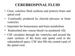 CEREBROSPINAL FLUID
• Clear, colorless fluid cushions and protects brain and
spinal cord
• Continually produced by choroid plexuses in brain
ventricles
• Important for homeostasis and brain metabolism
• Reabsorbed into venous blood via arachnoid villi.
• CSF circulates through the ventricles and around the
outer surfaces of the brain and spinal cord in the
subarachnoid space. CSF also fills the central canal of
the spinal cord.
 