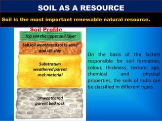 SOIL AS A RESOURCE
Soil Profile
Soil is the most important renewable natural resource.
Navvya Rai
 