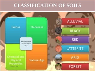 CLASSIFICATION OF SOILS
Navvya Rai
 