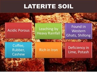 LATERITE SOIL
Navvya Rai
 