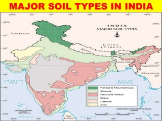 MAJOR SOIL TYPES IN INDIA
Navvya Rai
 