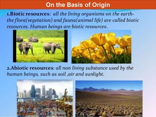 On the Basis of Origin
Navvya Rai
 