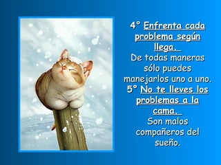 4° Enfrenta cada problema según llega. De todas maneras sólo puedes manejarlos uno a uno. 5° No te lleves los problemas a la cama. Son malos compañeros del sueño.