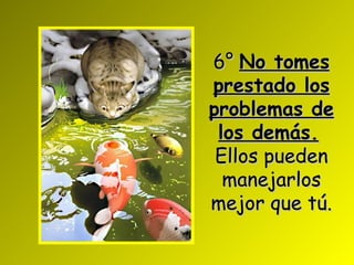 6° No tomes prestado los problemas de los demás. Ellos pueden manejarlos mejor que tú .