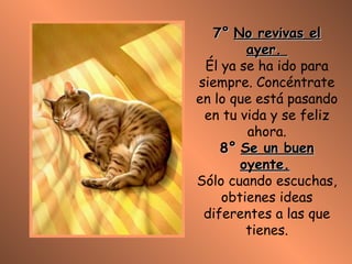 7°   No revivas el ayer.  Él ya se ha ido para siempre. Concéntrate en lo que está pasando en tu vida y se feliz ahora. 8°   Se un buen oyente.   Sólo cuando escuchas, obtienes ideas diferentes a las que tienes. 