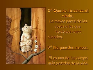 2° Que no te venza el miedo. La mayor parte de las cosas a las que tememos nunca suceden. 3° No guardes rencor. Él es una de las cargas más pesada s de la vida.
