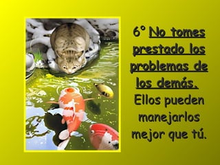6° No tomes prestado los problemas de los demás. Ellos pueden manejarlos mejor que tú .