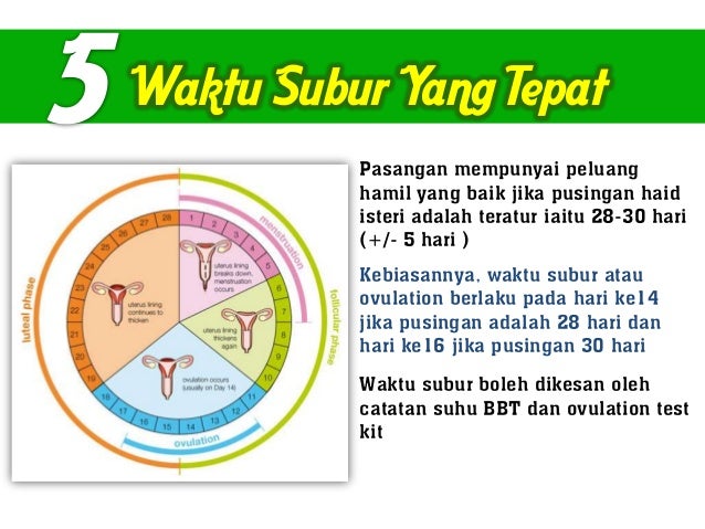 waktu subur bagi wanita