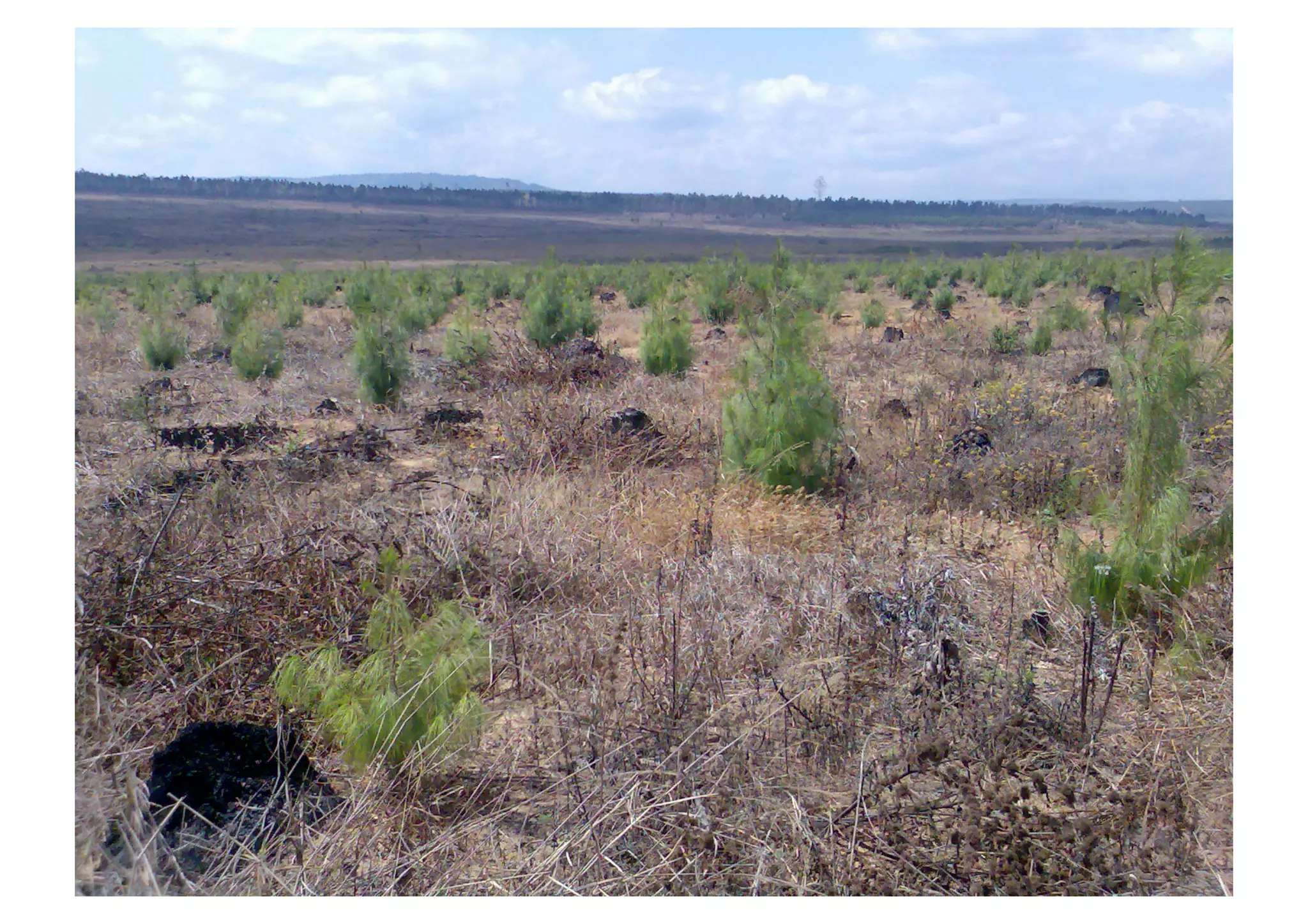 Built	
  a	
  (self)	
  sustainable	
  
business	
  model	
  
 